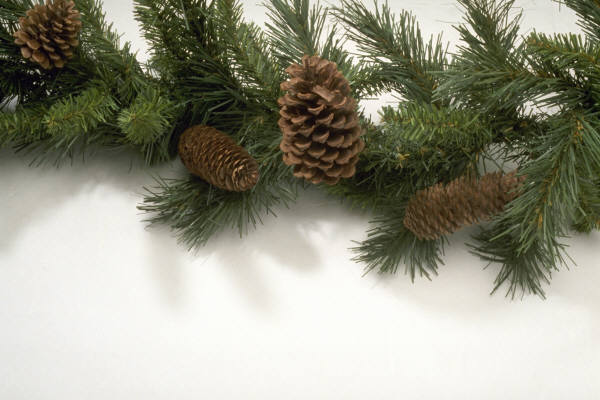 Of Garland and&nbsp;Bows