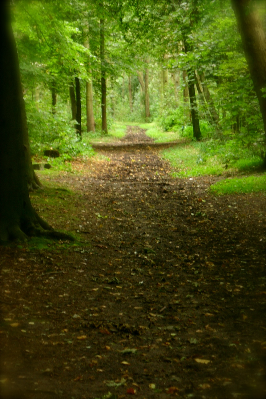 The Value of Peace and&nbsp;Quiet