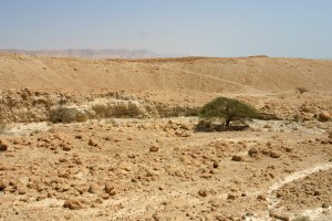 The Judean Wilderness is kind of like Mars. Dry, inhospitable, and great for hiding.